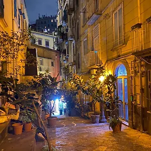 Palm's House Apartment Naples